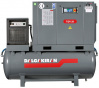 dalgakirantidy20compact